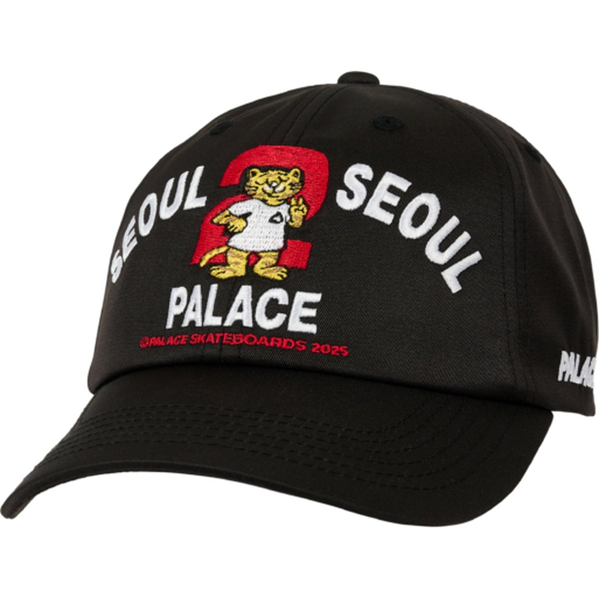 PALACE SEOUL 6 PANEL BLACK