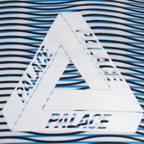 Palace REVERSIBLE DOWN JACKET - Colorway