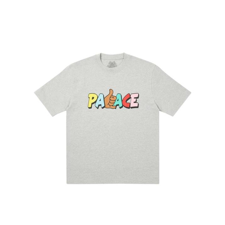 SHITFACED SHAKA T-SHIRT GREY MARL