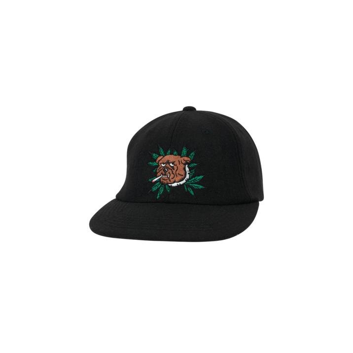 WEED BULLDOG WOOL 6-PANEL BLACK