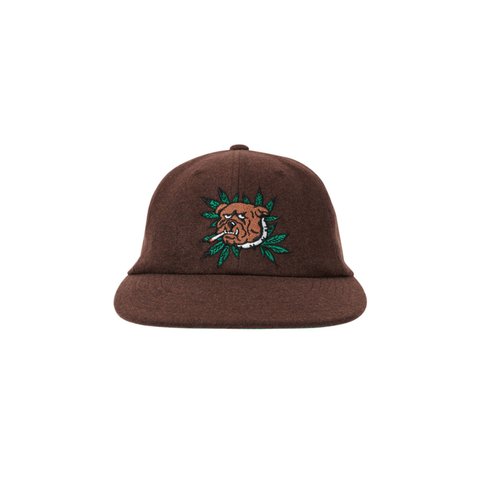 Palace WEED BULLDOG WOOL 6-PANEL BROWN - Colorway