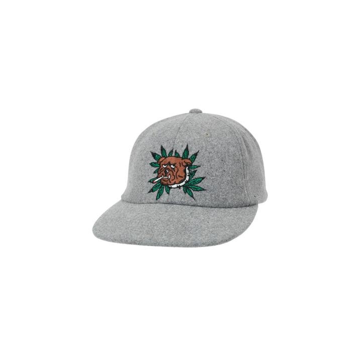 WEED BULLDOG WOOL 6-PANEL GREY