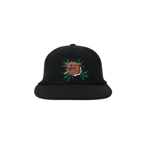 Palace WEED BULLDOG WOOL 6-PANEL BLACK - Colorway