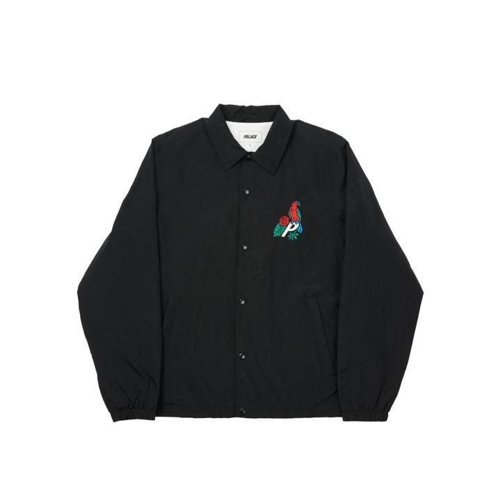 PARROT PALACE-3 COACH JACKET BLACK