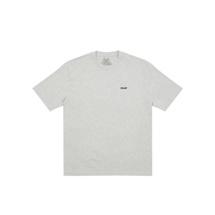 THIS IS WHAT PALACE STANDS FOR T-SHIRT GREY MARL