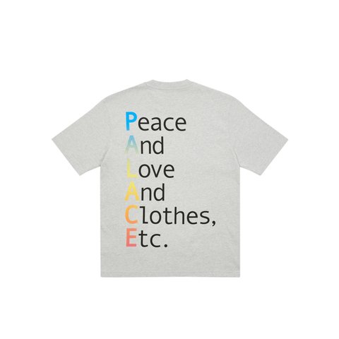 Palace THIS IS WHAT PALACE STANDS FOR T-SHIRT GREY MARL - Colorway