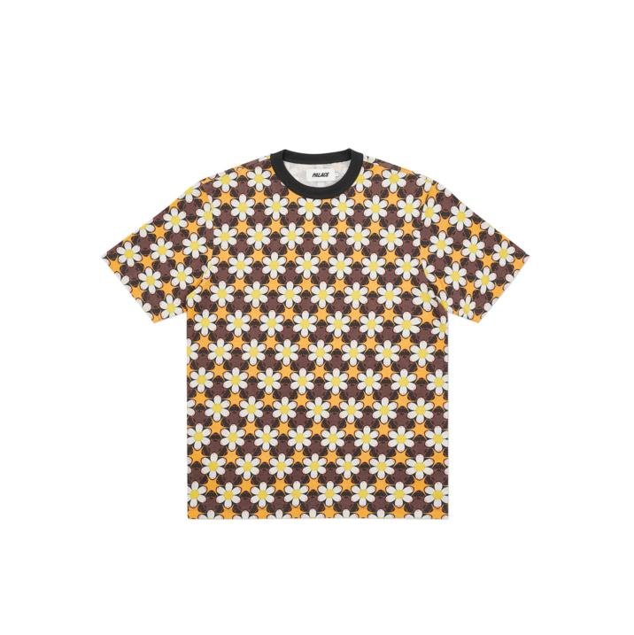 CURTAINS T-SHIRT BROWN / ORANGE