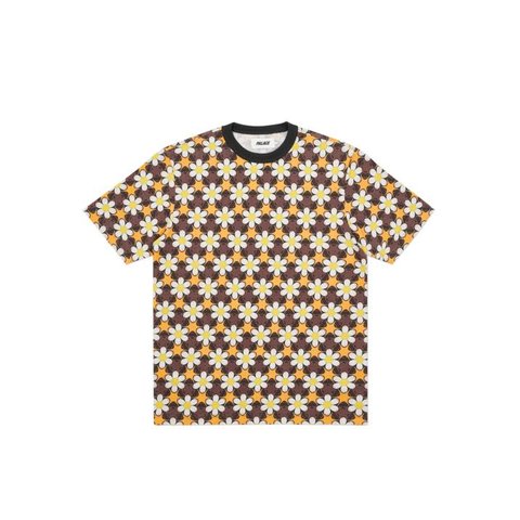 CURTAINS T-SHIRT BROWN / ORANGE