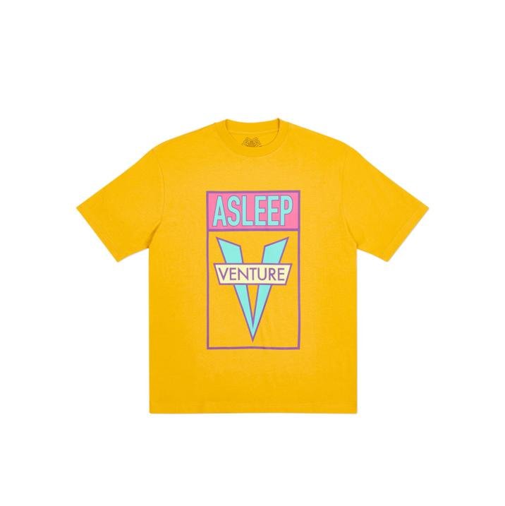 ASLEEP TO VENTURE T-SHIRT CAMEL