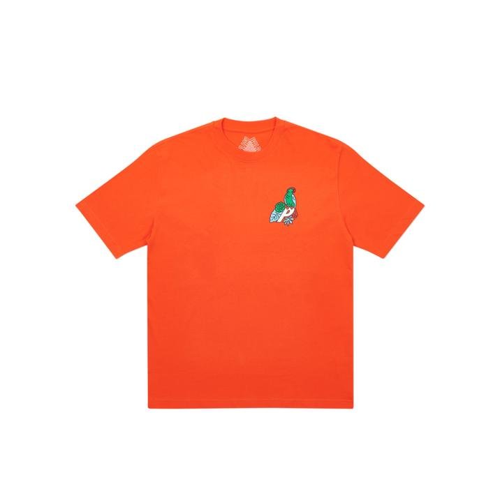 PARROT PALACE-3 T-SHIRT DARK ORANGE