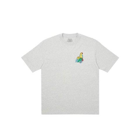 PARROT PALACE-3 T-SHIRT GREY MARL