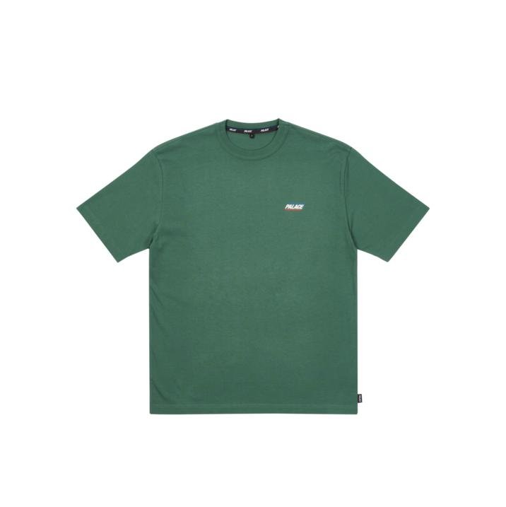 BASICALLY A T-SHIRT FERN