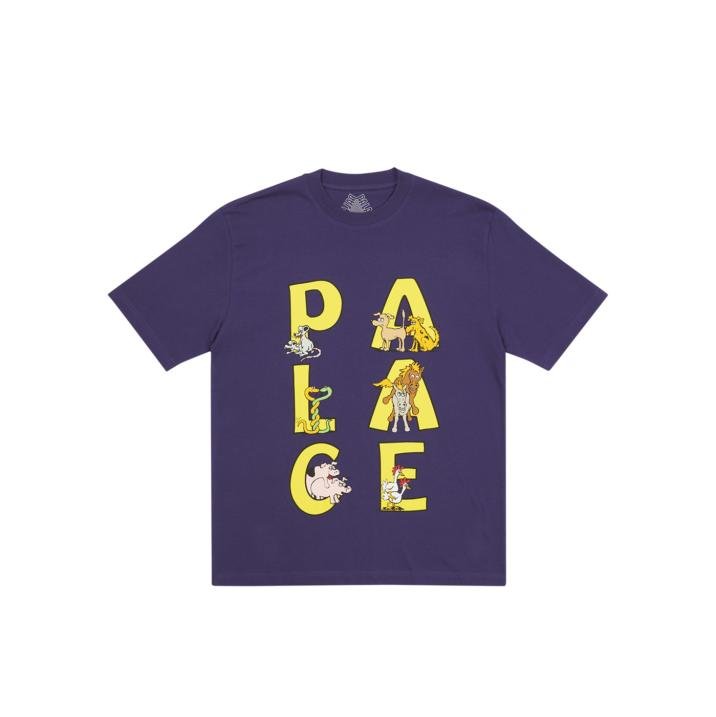SESSION T-SHIRT PURPLE