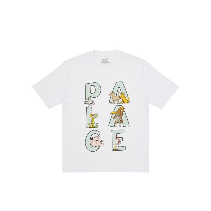 SESSION T-SHIRT WHITE