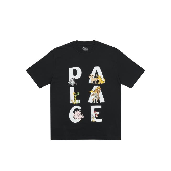 SESSION T-SHIRT BLACK