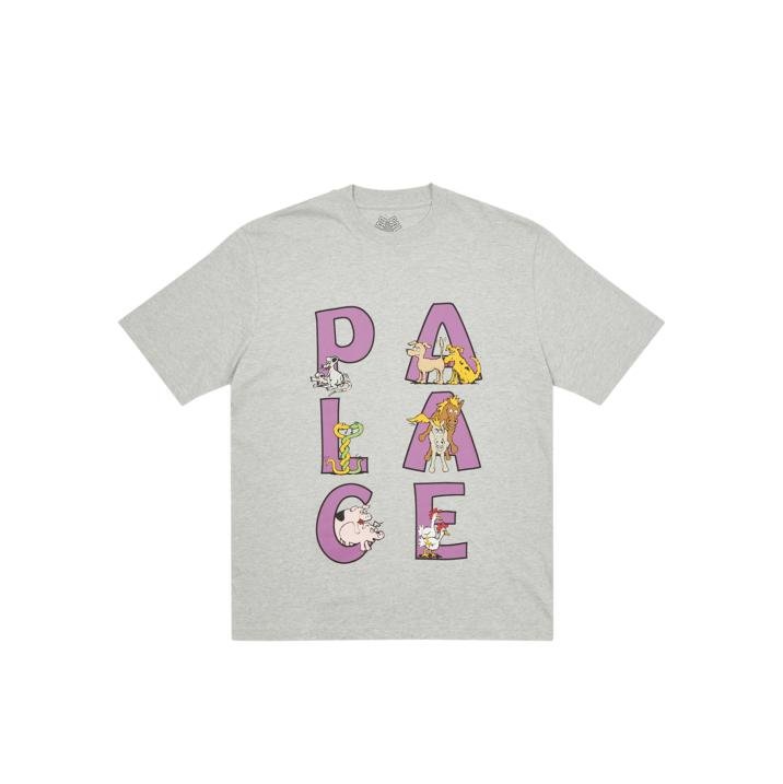 SESSION T-SHIRT GREY MARL