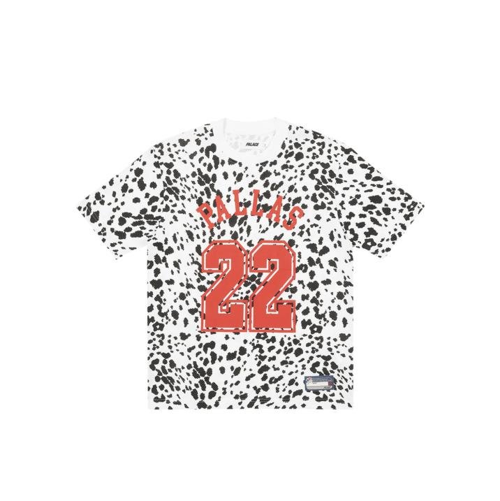 SPORTS MESH T-SHIRT DALMATION