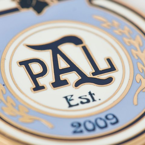 Palace PALACE PRO KEYRING MULTI - Colorway