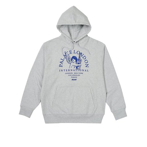 INTERNATIONAL HOOD GREY MARL