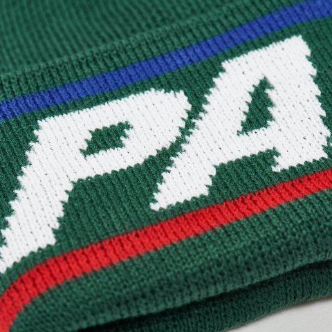 Palace BASICALLY A BEANIE HUNTSMAN - Colorway