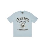 PALACE AVIREX T-SHIRT CHILL BLUE