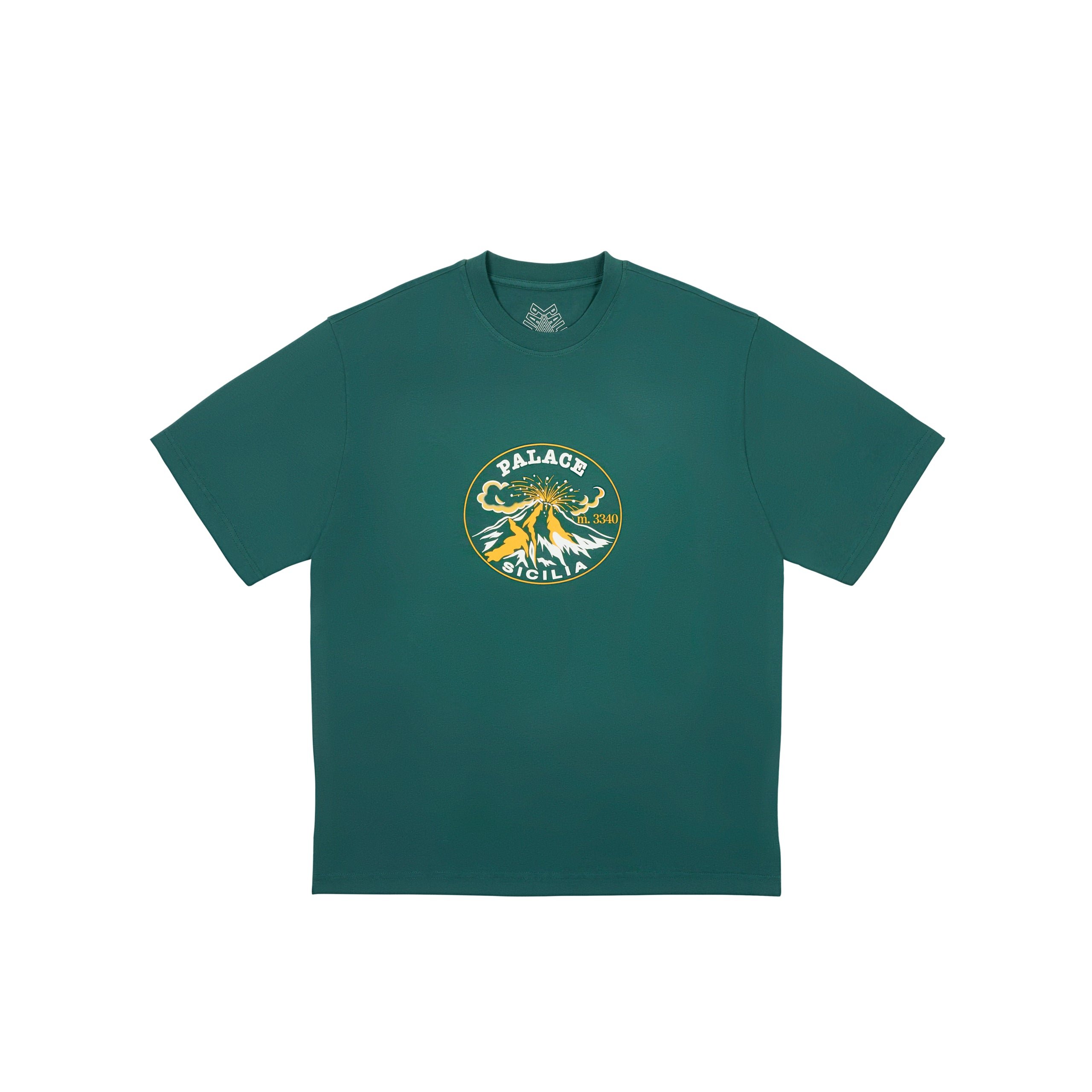 ACTIVE T-SHIRT RACEY GREEN