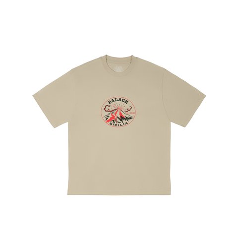 Palace ACTIVE T-SHIRT STONEY GREY - $48.00