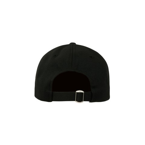Palace GORE-TEX GOLF 6-PANEL WALES - Colorway