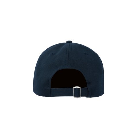 Palace GORE-TEX GOLF 6-PANEL SCOTLAND - Colorway