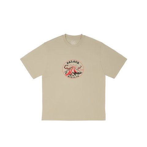 Palace ACTIVE T-SHIRT STONEY GREY - Colorway