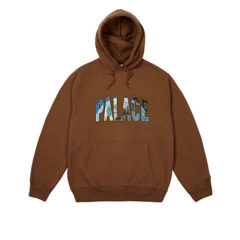 Palace EARTHY HOOD CAKED BROWN - Colorway