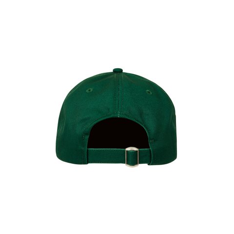 Palace GORE-TEX GOLF 6-PANEL IRELAND - Colorway