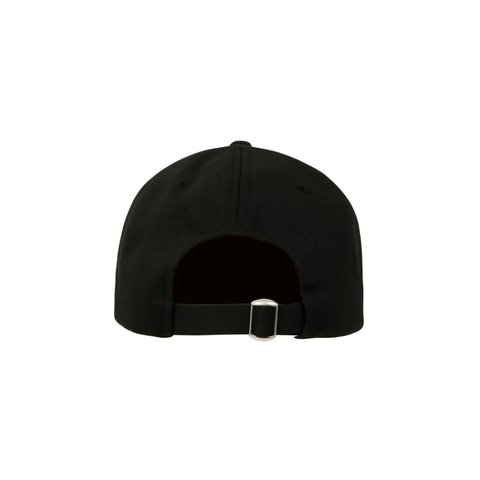 Palace GORE-TEX GOLF 6-PANEL WALES - Colorway