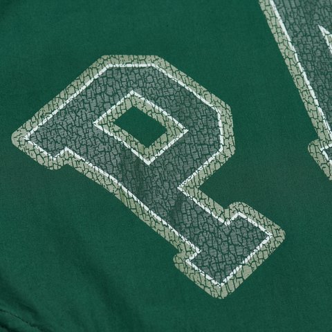 Palace ARCHY SHIRT GREEN - Colorway