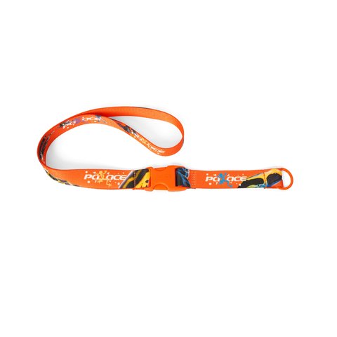 Palace FROGGER LANYARD ORANGE / MULTI - Colorway