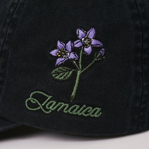 Palace ATHLETIC 6-PANEL BLACK - Colorway