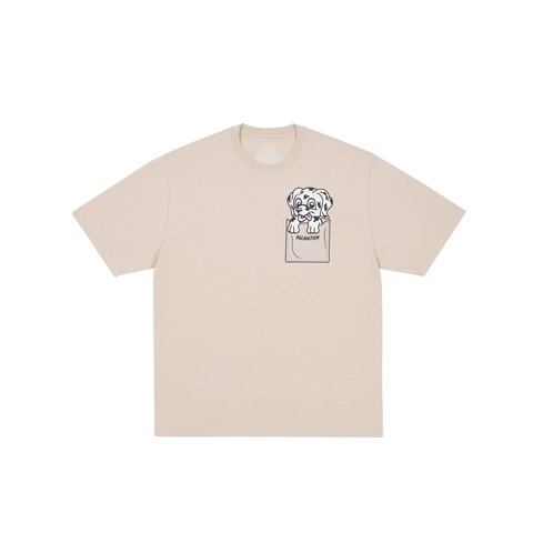 Palace PALMATION T-SHIRT STONEY GREY - Colorway