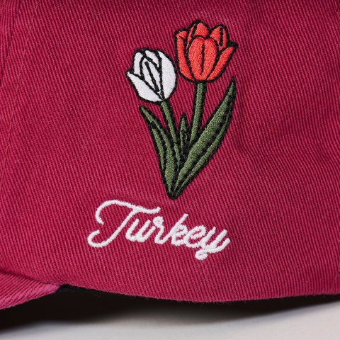 Palace ATHLETIC 6-PANEL BERG - Colorway