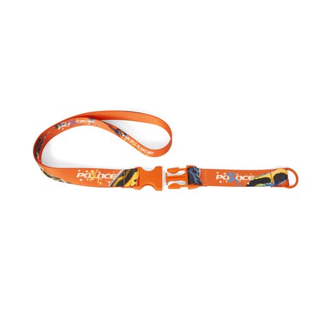 Palace FROGGER LANYARD ORANGE / MULTI - Colorway