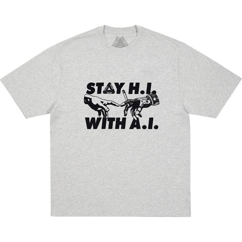 INDICA T-SHIRT GREY MARL