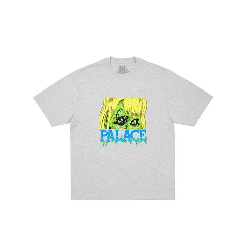 Palace GHOUL T-SHIRT GREY MARL - Colorway