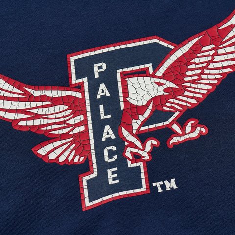 Palace PALACE EAGLES HOOD NAVY - Colorway