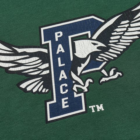 Palace PALACE EAGLES HOOD RACEY GREEN - Colorway