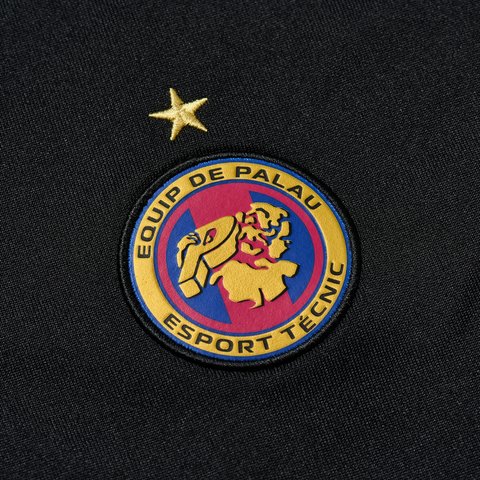 Palace PRO TEAM POLYKNIT FUNNEL BLACK - Colorway