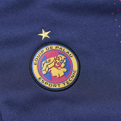 Palace PRO TEAM POLYKNIT FUNNEL NAVY - Colorway