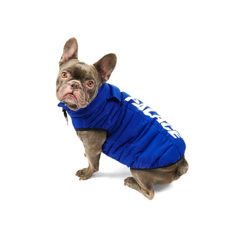 Palace DOG PUFFA BLUE - Colorway