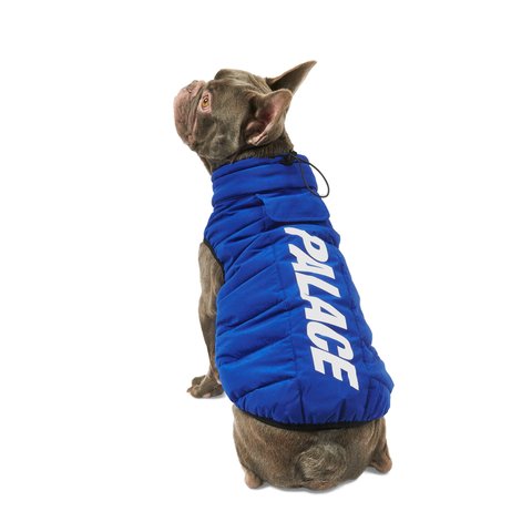 Palace DOG PUFFA BLUE - Colorway