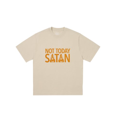 Palace NICHT TODAY T-SHIRT STONEY GREY - Colorway
