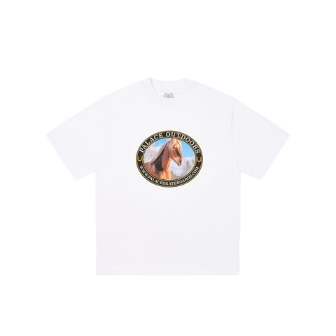 Palace EQUESTRIAN T-SHIRT WHITE - Colorway