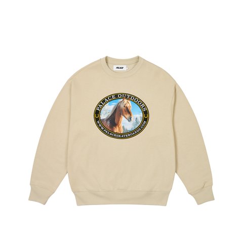 PALACE OUTDOORS CREW STONEY GREY
